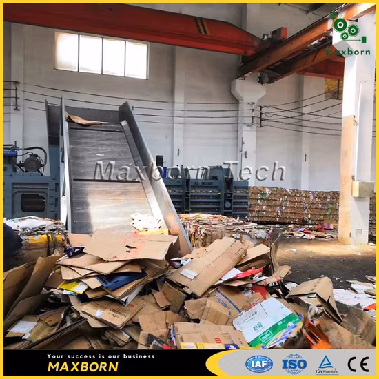 Pressa idraulica orizzontale automatica a doppio RAM di alta qualità per cartone, plastica e paglia